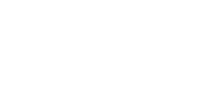 provider-digital-logo.png