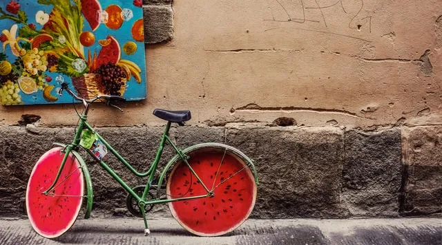 Creative green bicycle with watermelon wheels symbolizing unique disability care branding.