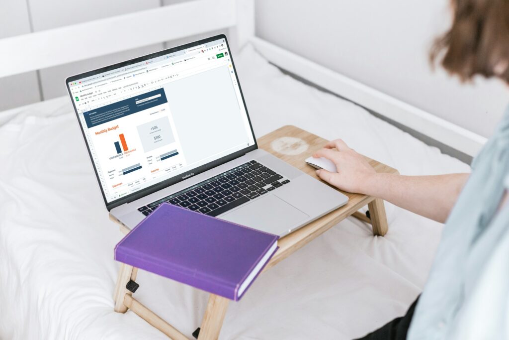 Accountant using laptop